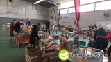 Photo Bourse aux jouets de L'APE Matern'happy à Lézat-sur-Lèze