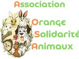 Association OSA Orange Solidarité Animaux